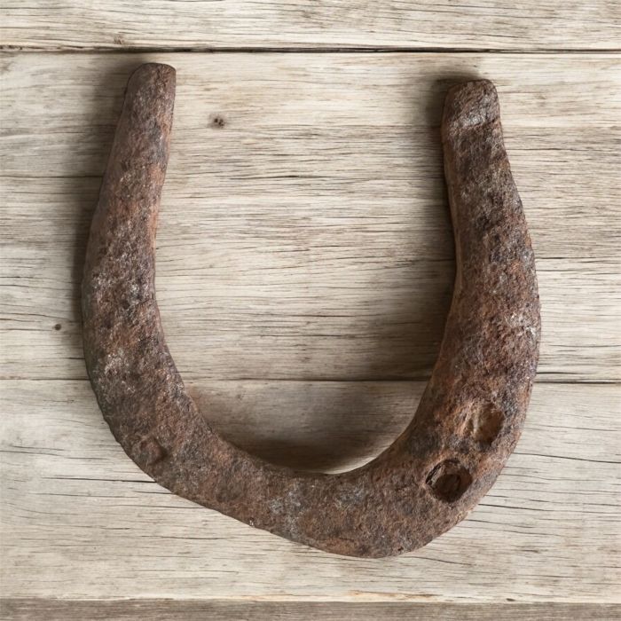 Katır - Eşek Nalı