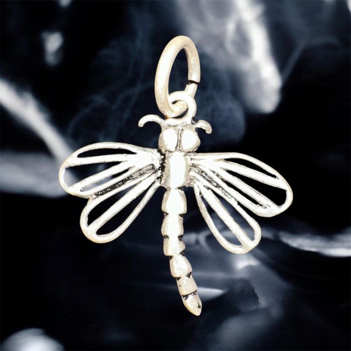 Yusufçuk 925 Gümüş Kolye Ucu