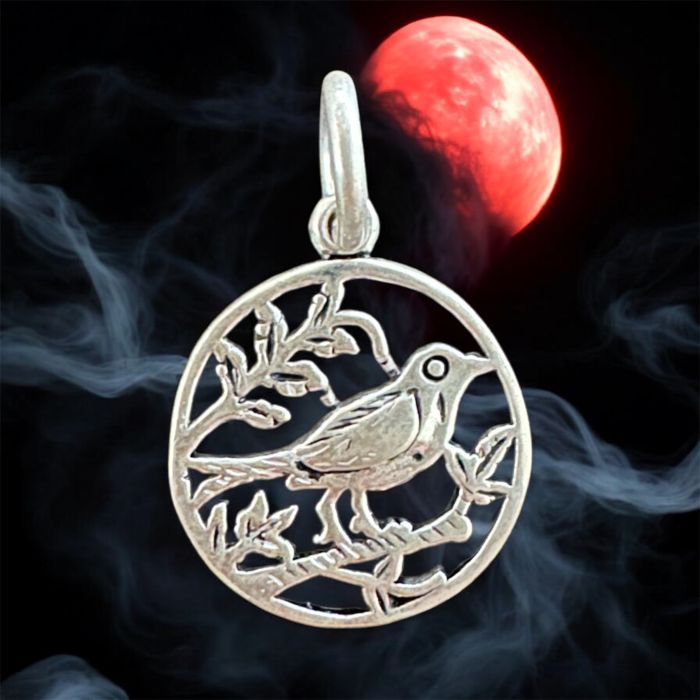 Green Witch Minik Kuş 925 Gümüş Kolye Ucu