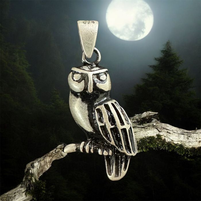 Baykuş 925 Gümüş Kolye Ucu