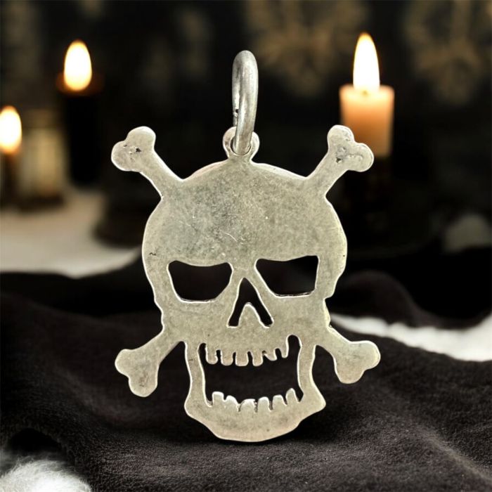 Kuru Kafa Zehir 925 Gümüş Kolye Ucu